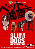 スラムドッグス