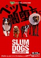 スラムドッグス