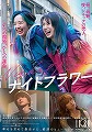 ナイトフラワー