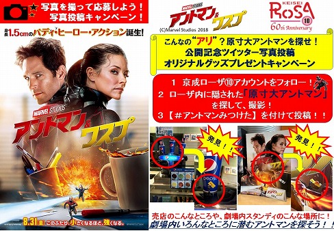 トピックス画像